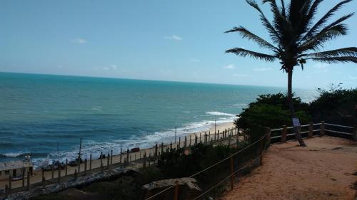 a beach with a palm tree and the ocean at Pousada Familiar Beberibe in Beberibe