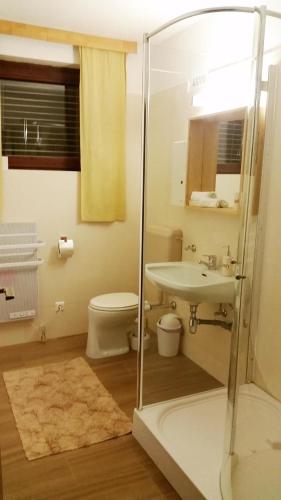 a bathroom with a shower and a toilet and a sink at Ski Vital Apartments in Sankt Michael im Lungau