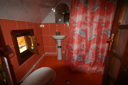 a bathroom with a red shower curtain and a sink at Cabana Ioana in Munună