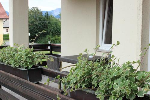 a balcony with plants and a table and a chair at PONI NAKLO - Sobe Marinšek in Naklo