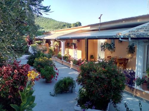 a house with a lot of flowers and plants at Marika Garden Studios in Moraitika