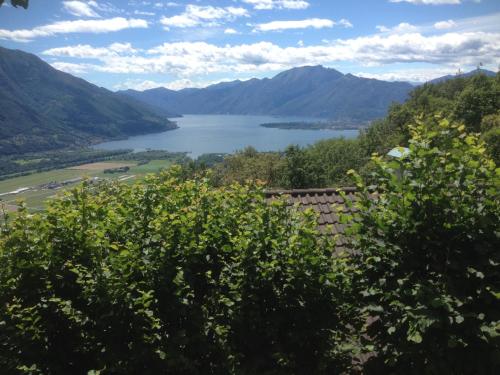 a view of a lake from a hill with trees at Helle Sonne in Agarone
