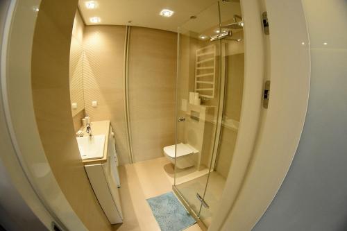 グディニャにあるApartament No.1のバスルーム(トイレ、ガラス張りのシャワー付)