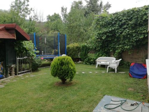 a small bush in a yard with a bench at Apartment Beganovic in Kulen Vakuf