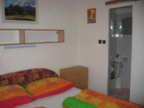 a small bedroom with a bed and a sink at Penzión Závada in Nová Lesná