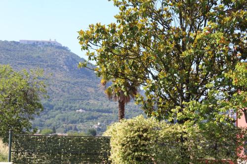 a fence with trees and a mountain in the background at B&B Colle Cucchiara in Cassino