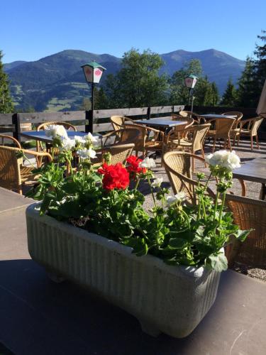 Gallery image of Blue Mountain Hotel in Afritz
