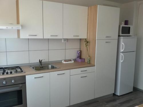 Studio apartman Toplica في داروفار: مطبخ بدولاب بيضاء ومغسلة وثلاجة