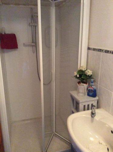 a bathroom with a shower and a sink at Poplar Farm in Wedmore