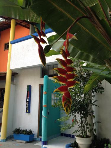 a plant with red flowers in front of a building at Art Hotel Aos Sinos Dos Anjos in Arraial d'Ajuda