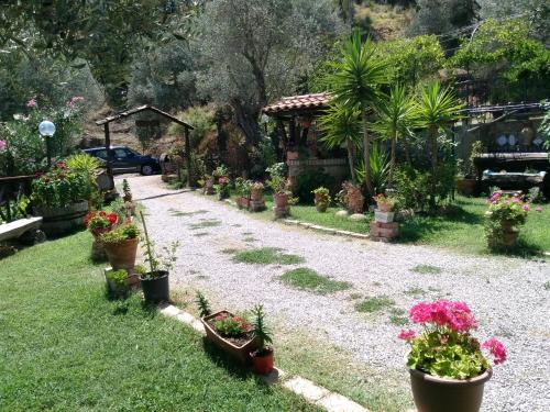 a garden with potted plants on the grass at L'Uliveto in Reitano