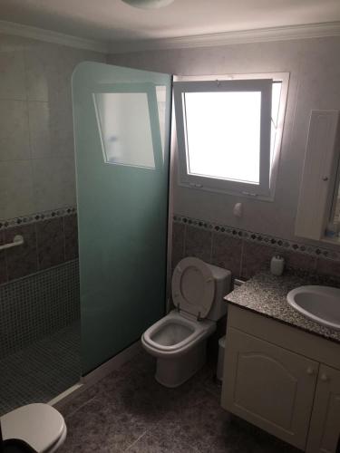 a bathroom with a toilet and a shower and a sink at Apart Juan de Cardona in Arinaga