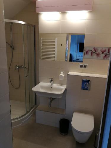 a bathroom with a sink and a shower and a toilet at Kasztanowe Wrota in Kosewo