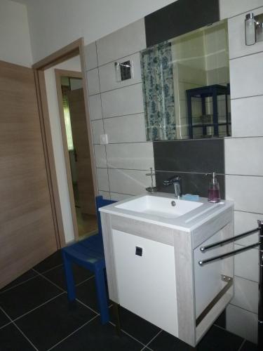 une salle de bain avec un lavabo blanc et un miroir dans l'établissement Château de Morin, à Puch-dʼAgenais