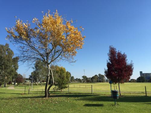 Imagen de la galería de Junee Tourist Park, en Junee