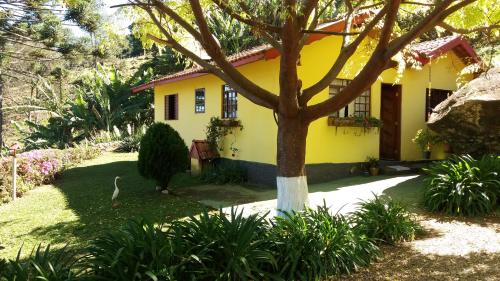 a yellow house with a bird in front of it at chales azaleia todos in São Bento do Sapucaí