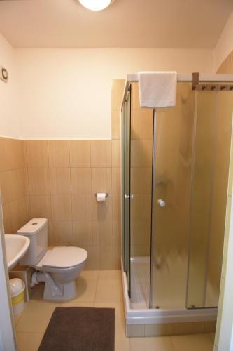 a bathroom with a toilet and a glass shower at Apartments Otre Frymburk in Frymburk