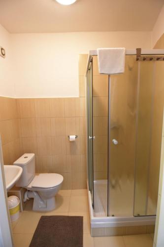 a bathroom with a toilet and a glass shower at Apartments Otre Frymburk in Frymburk