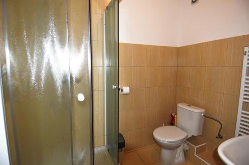 a bathroom with a shower and a toilet and a sink at Apartments Otre Frymburk in Frymburk