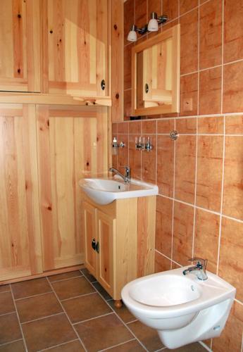 a bathroom with a sink and a toilet at Apartman Horni Adrspach in Adršpach