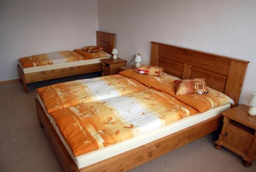 two beds in a room with two at Apartman Horni Adrspach in Adršpach