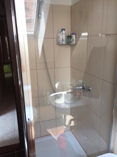 a bathroom with a glass shower with a sink at Palank Apartman in Mosonmagyaróvár