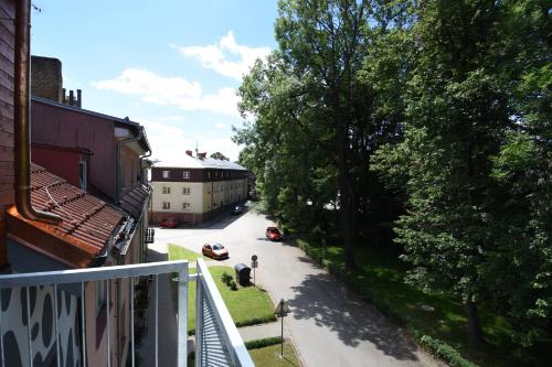 a dog standing on the side of a street at Apartments Otre Frymburk in Frymburk