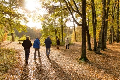 a group of people walking down a path at Molecaten Park De Leemkule in Hattem
