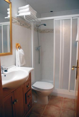 a bathroom with a toilet and a sink and a shower at Apartamento el Hogar Casa Cajal in Torla-Ordesa