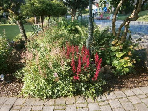 a garden with red flowers and other plants at Le Chalet Pré de la Fontaine in Paliseul