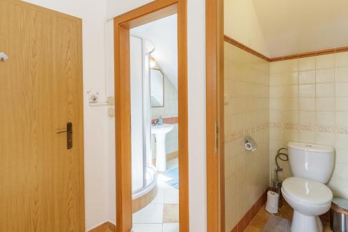un baño con inodoro y lavabo en Old Town Charles Apartments, en České Budějovice