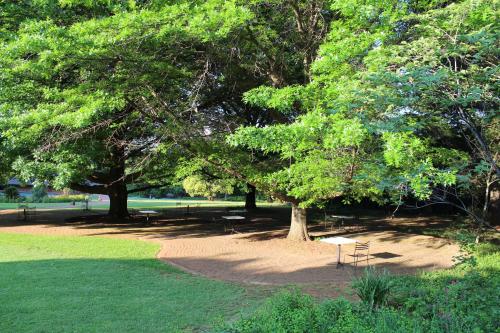 a park with tables and benches under a tree at Whispering Pines Country Estate in Magaliesburg