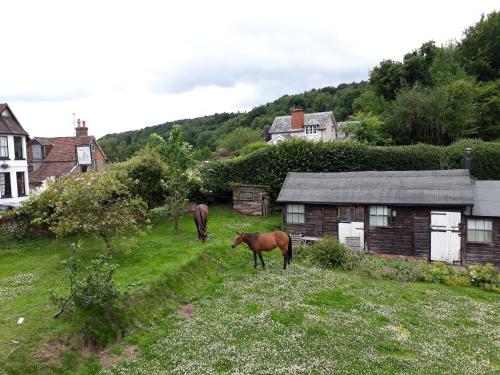two horses grazing in a field next to a house at Crockers Farm in Dorking