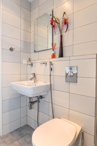 a bathroom with a toilet and a sink at Nida Lotmiskio Apartamentas in Nida