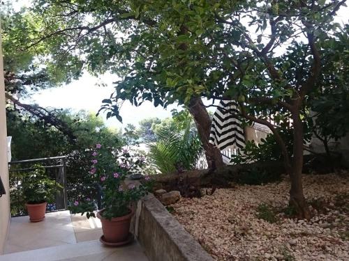 a garden with a tree and some potted plants at Delightfully decorated apartment with a sea view 5 minutes to the beach in Brela