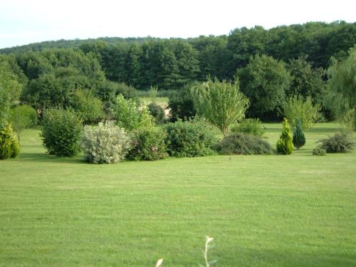 a green field with bushes and trees in the background at le lansquenet in Rorbach-lès-Dieuze