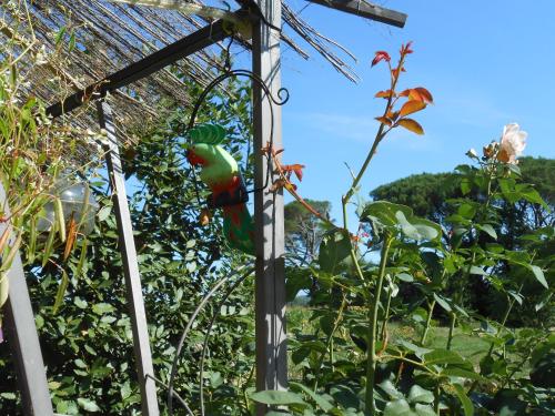 a garden with a greenhouse and a green plant at Arie Chez Mimosa in Dému