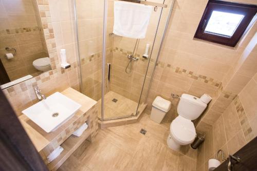 La salle de bains est pourvue d'une douche, de toilettes et d'un lavabo. dans l'établissement Pensiunea Brise, à Medieşu Aurit