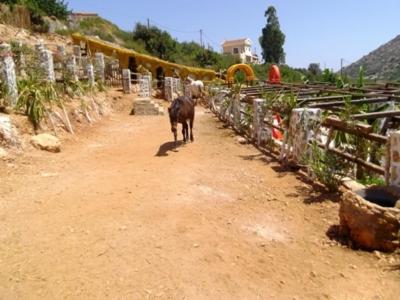 Gallery image of Stone Village Hotel Apartments in Balíon