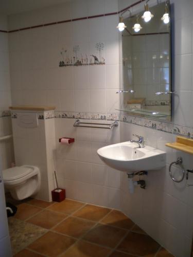 a bathroom with a sink and a toilet at Chambre d'hôte Au col de Cygne in Blanzac-lès-Matha