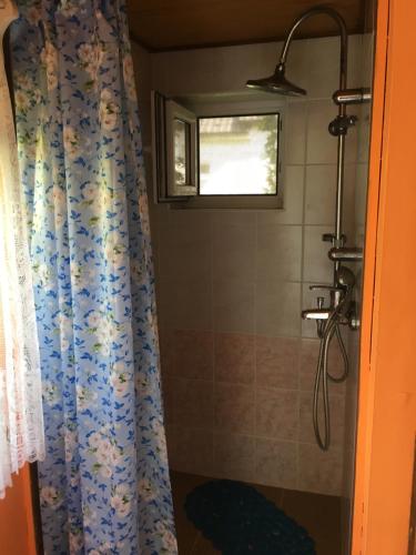 a bathroom with a shower with a shower curtain at Ubytovanie v hosťovskom dome Flower in Veľký Meder