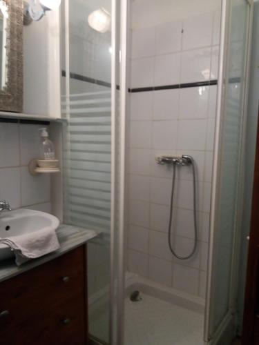 La salle de bains est pourvue d'une douche et d'un lavabo. dans l'établissement Le Patio Des Cigales, à Roquefort-des-Corbières