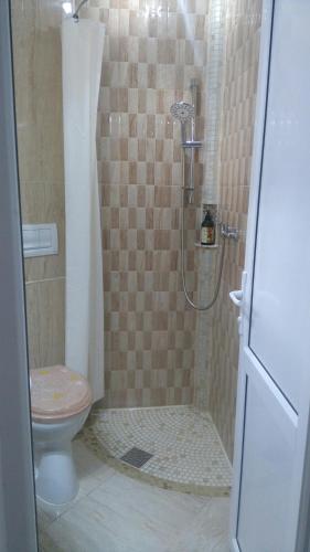 a bathroom with a shower and a toilet at Zoi Residence in Costinesti