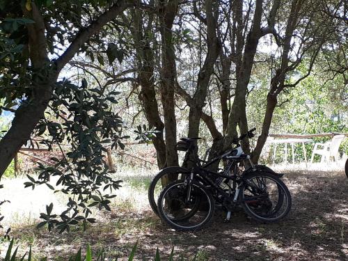 Jízda na kole v ubytování Fattoria Il Milione Agriturismo nebo okolí