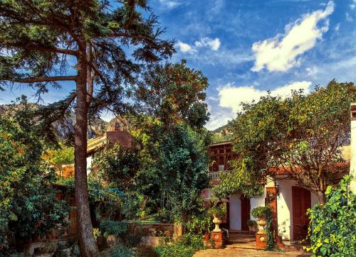 una casa con árboles delante de ella en Nonna Vincenza en Maratea