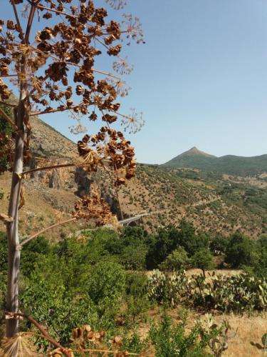 Φυσικό τοπίο κοντά σε αυτό το bed & breakfast