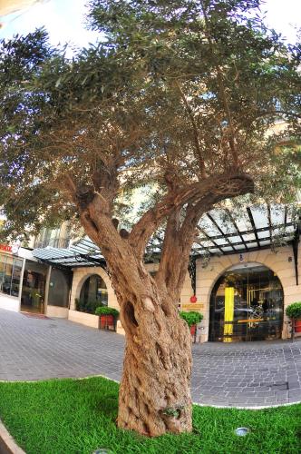 Fotografie z fotogalerie ubytování Lancaster Raouche Hotel v destinaci Bejrút