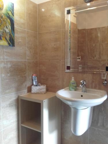 ein Bad mit einem Waschbecken und einem Spiegel in der Unterkunft Apartment-unter-Reet in Kiel