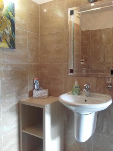 a bathroom with a sink and a mirror at Apartment-unter-Reet in Kiel