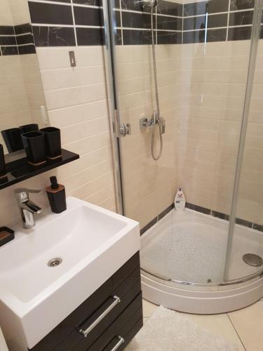 e bagno con doccia, lavandino e vasca. di Apartment Novalja 4+2 a Novalja (Novaglia)